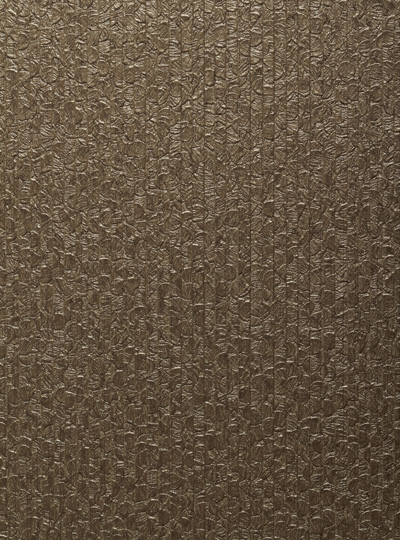 Donzella LXB-PET-07