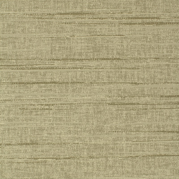 Tejon LXB-SUH-01