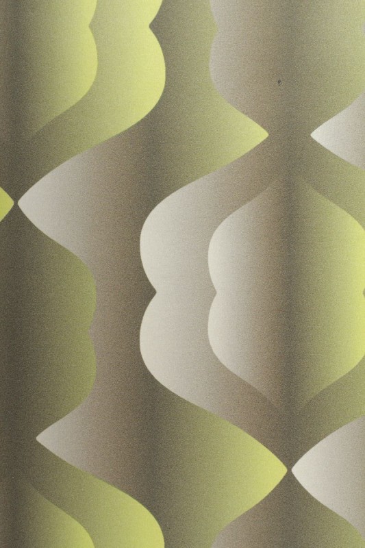 Ribbon Grass