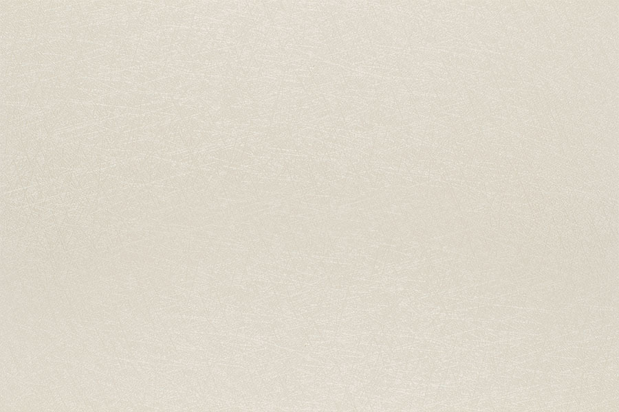 Snow LXB-FBD-01